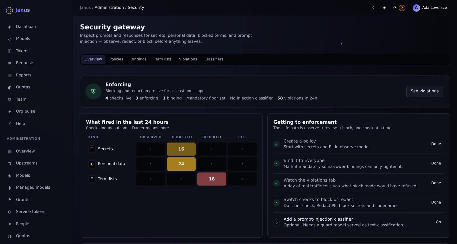 Janus Security overview screen with demo data